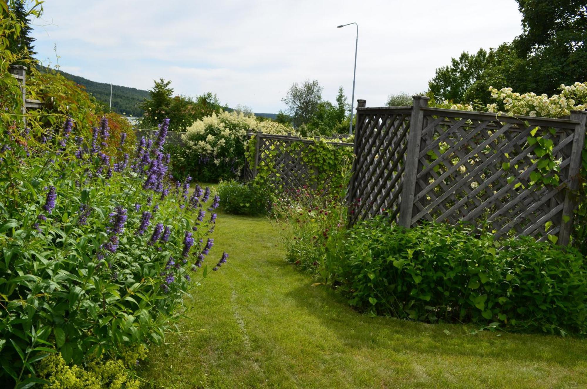 Soergardens Logi Bed & Breakfast Härnösand Екстериор снимка
